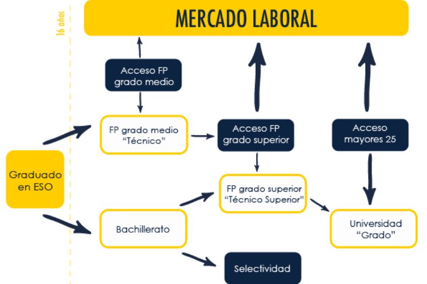 es necesario el bachillerato para acceder a un grado superior