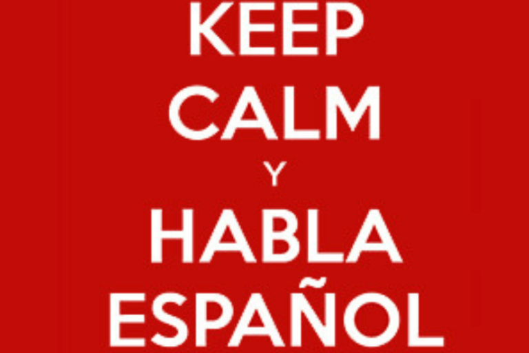 Diferencia entre castellano y español
