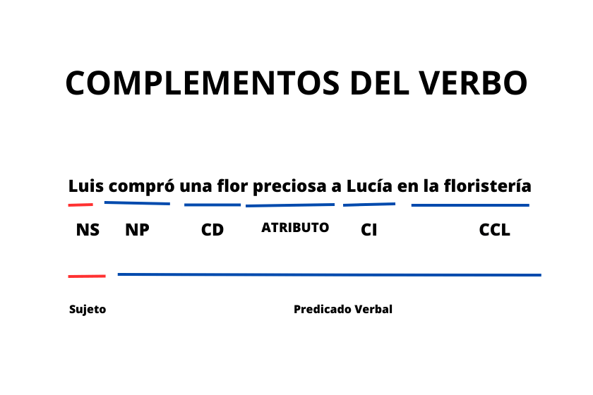 Los Complementos Del Verbo Con Ejemplos