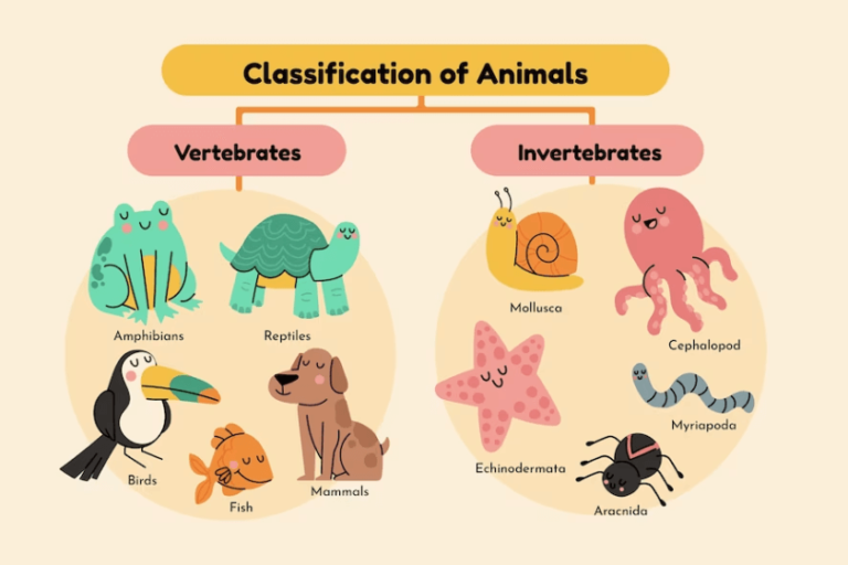 vertebrados e invertebrados